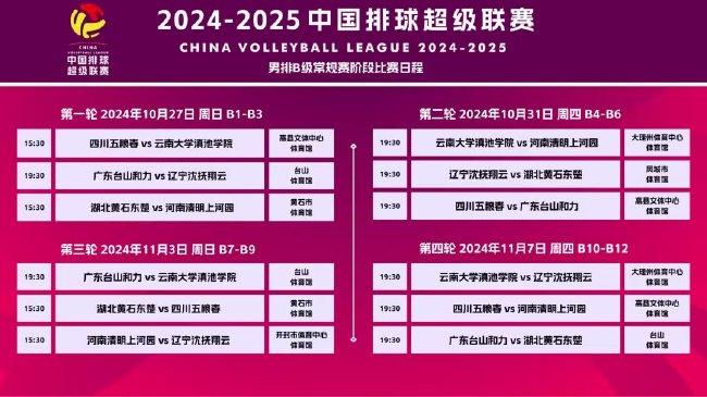 2024-2025澳门精准正版免费资料大全,精选资料解析大全