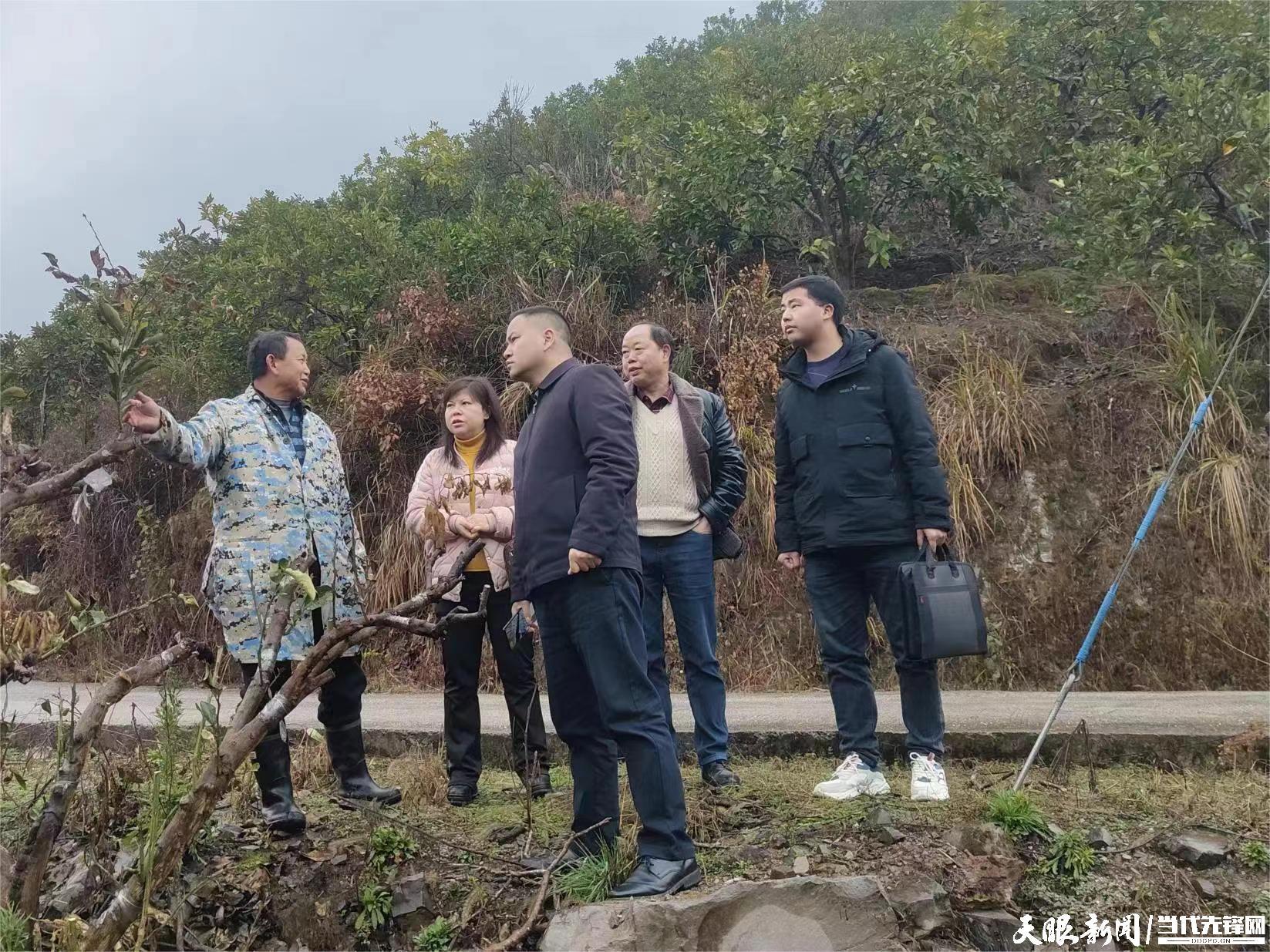 广东省特岗教师招聘，机遇与挑战并存