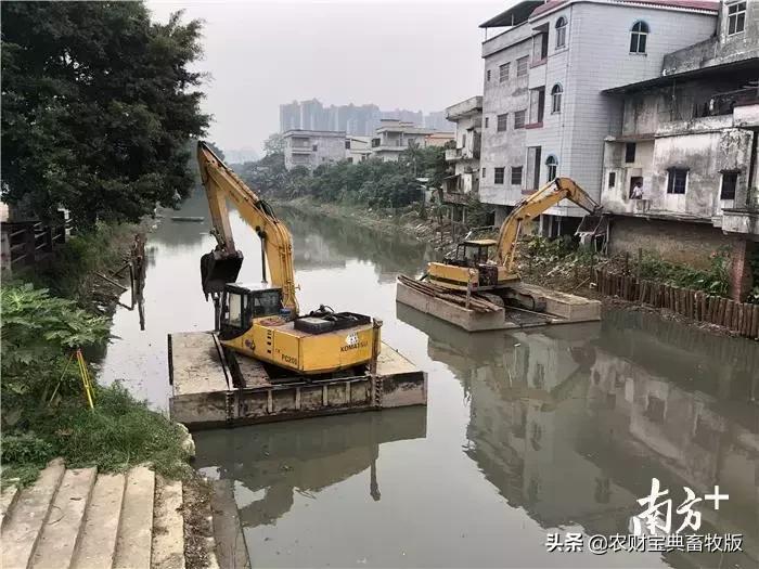 广东省惠州市艺术学校，孕育艺术人才的摇篮