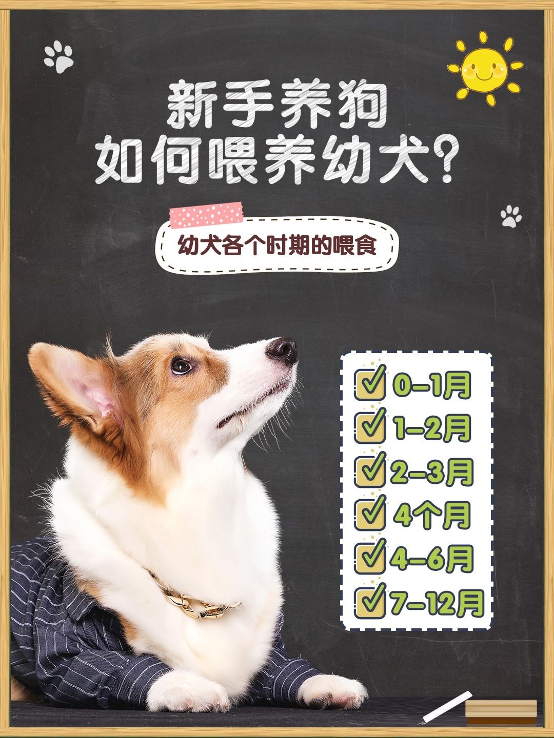 两个月幼犬的喂养指南